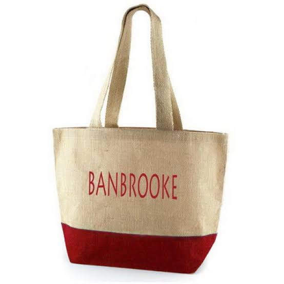 Laptop Bag 1
